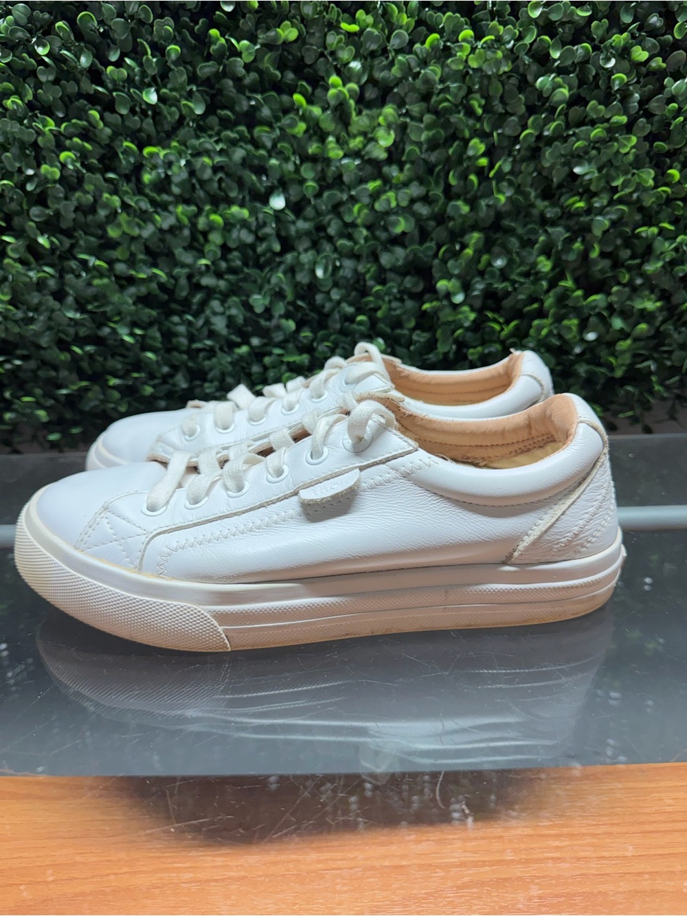 Taos Footwear White Leather Low-Top Sneakers - Picture 6 of 10